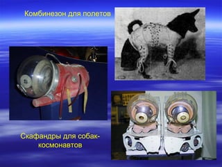 Комбинезон для полетов




Скафандры для собак-
    космонавтов
 