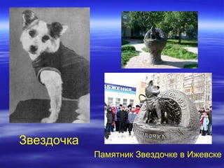 Звездочка
            Памятник Звездочке в Ижевске
 