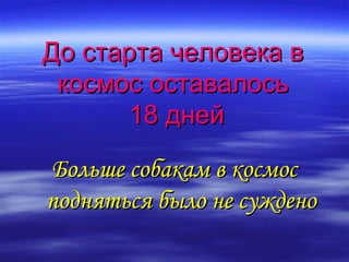 До старта человека в
 космос оставалось
       18 дней

Больше собакам в космос
подняться было не суждено
 