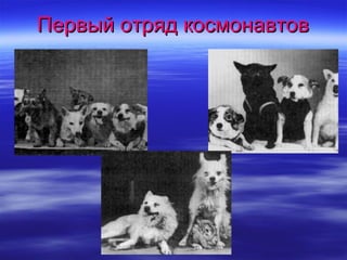 Первый отряд космонавтов
 