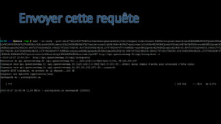 Envoyer cette requête  
