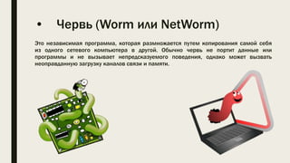 • Червь (Worm или NetWorm)
Это независимая программа, которая размножается путем копирования самой себя
из одного сетевого компьютера в другой. Обычно червь не портит данные или
программы и не вызывает непредсказуемого поведения, однако может вызвать
неоправданную загрузку каналов связи и памяти.
 