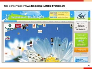 Noé Conservation :  www.despixelspourlabiodiversite.org 