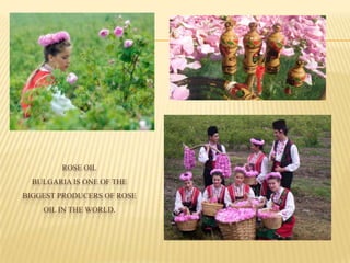 ROSE OIL
BULGARIA IS ONE OF THE
BIGGEST PRODUCERS OF ROSE
OIL IN THE WORLD.
 