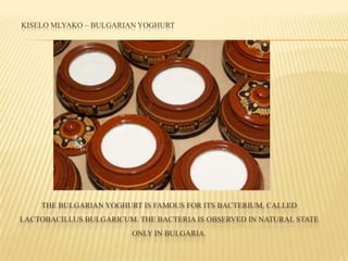 THE BULGARIAN YOGHURT IS FAMOUS FOR ITS BACTERIUM, CALLED
LACTOBACILLUS BULGARICUM. THE BACTERIA IS OBSERVED IN NATURAL STATE
ONLY IN BULGARIA.
KISELO MLYAKO – BULGARIAN YOGHURT
 