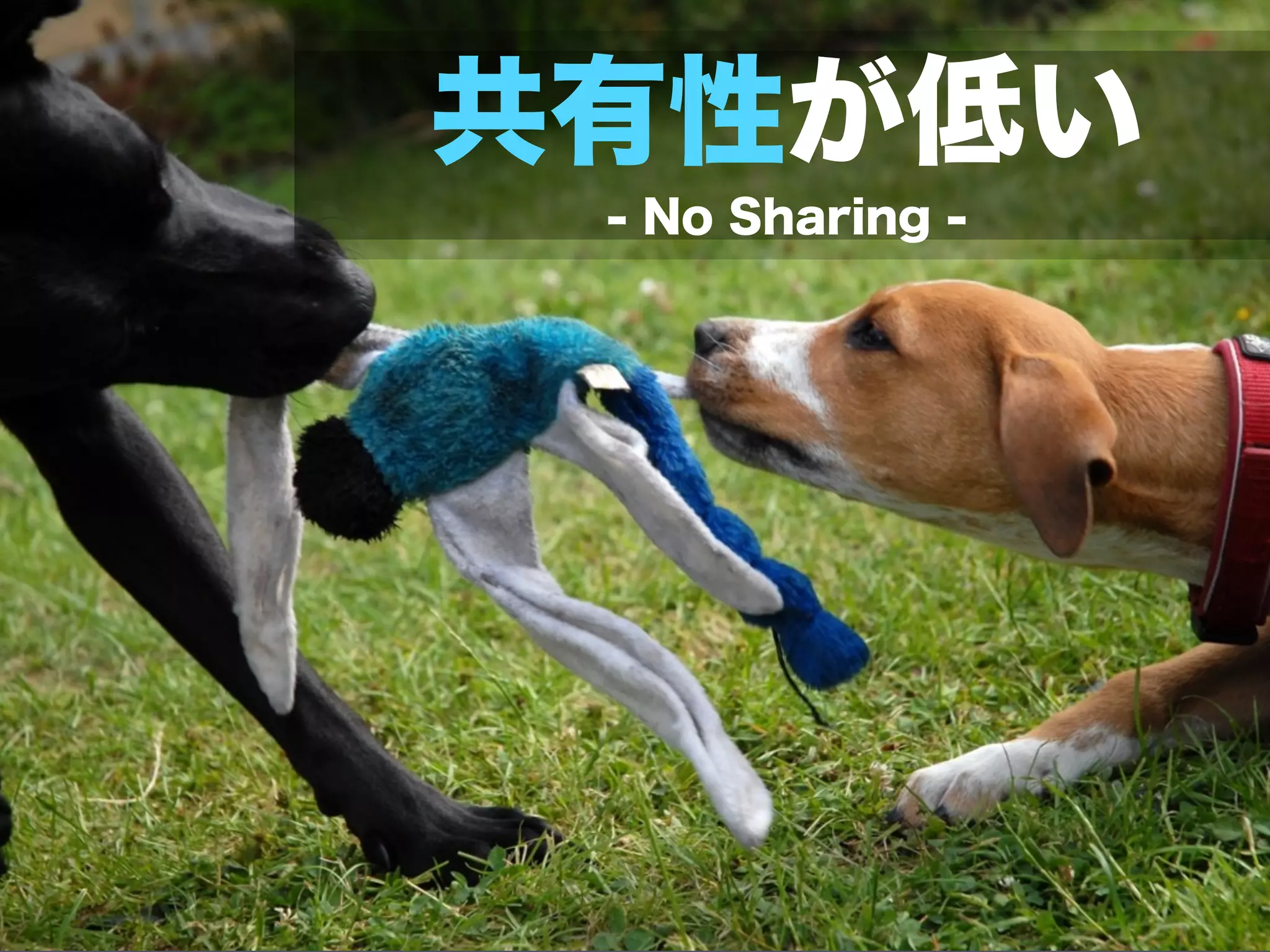 共有性が低い
 - No Sharing -
 