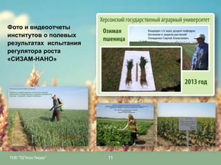 Фото и видеоотчеты
институтов о полевых
результатах испытания
регулятора роста
«СИЗАМ-НАНО»

ТОВ "ТД"Агро Лидер"

11

 