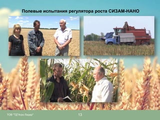 Полевые испытания регулятора роста СИЗАМ-НАНО

ТОВ "ТД"Агро Лидер"

13

 