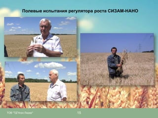 Полевые испытания регулятора роста СИЗАМ-НАНО

ТОВ "ТД"Агро Лидер"

15

 
