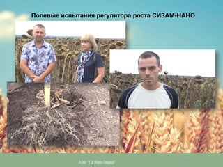 Полевые испытания регулятора роста СИЗАМ-НАНО

ТОВ "ТД"Агро Лидер"

17

 
