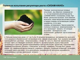 Полевые испытания регулятора роста «СИЗАМ-НАНО»
Проводя многочисленные полевые
испытания , мы обратили внимание на
то, что при внесение регулятора роста
«СИЗАМ НАНО» откликалась почва. При
более детальном изучении этого явления
выяснили, новые вещества активно влияют
в первую очередь на активизацию грибовэндофитов, а те в свою
очередь, активировали бурное развитие
полезных почвенных микроорганизмов. То есть происходил процесс, тот который
вызывают минеральные или
органические удобрения при их внесению
в почву,
в больших привычных дозах от 1 до 4 ц/га. В процессе проведенных экспериментов, выяснили,
что в результате биологической активизации почв, новыми веществами, был выявлен механизм
взаимодействия растение – микроорганизмы – почва. То - есть та обратная взаимосвязь, на
которую мало кто обращает внимание, потому-то пытаются решить задачу повышения
урожайности и качества урожая выращиваемых культур обычными, принятыми классическими
приемами агротехники, которые, к сожалению не всегда оправданы. Поэтому был сделан
вывод, что, применение данных веществ позволяло раскрыть огромный почвенный потенциал,
потенциал самого растения, что в дальнейшем сказывалось на «всплеске» урожайности
выращиваемых культур, увеличение которого
ТОВ "ТД"Агро Лидер"

27

 