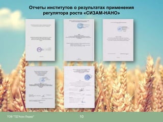 Отчеты институтов о результатах применения
регулятора роста «СИЗАМ-НАНО»

ТОВ "ТД"Агро Лидер"

10

 