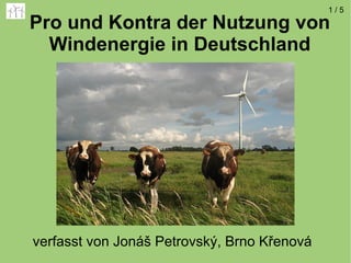 Pro und Kontra der Nutzung von Windenergie in Deutschland verfasst von Jonáš Petrovský, Brno Křenová 
