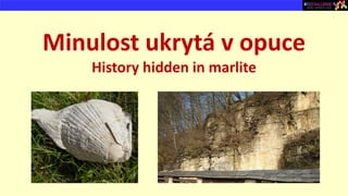 Minulost ukrytá v opuce
History hidden in marlite
 