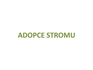 ADOPCE STROMU
 