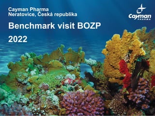 Cayman Pharma
Neratovice, Česká republika
Benchmark visit BOZP
2022
 