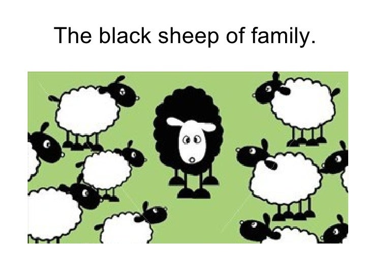 Паршивая стадо портит. Black Sheep of the Family идиома. Black Sheep идиома. Овечки черным цветом. Black Sheep Black Sheep 1975.