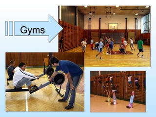 Gyms 