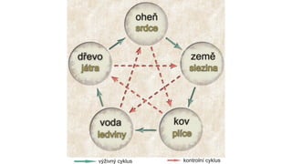 VÝKON, ROVNOVÁHA A ZDRAVÍ PRO TOP MANAŽERY - akce ČMA