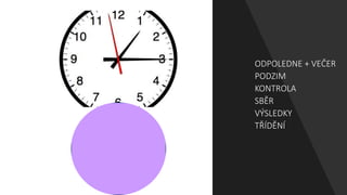 ODPOLEDNE + VEČER
PODZIM
KONTROLA
SBĚR
VÝSLEDKY
TŘÍDĚNÍ
 