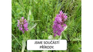 .
JSME SOUČÁSTÍ
PŘÍRODY.
 