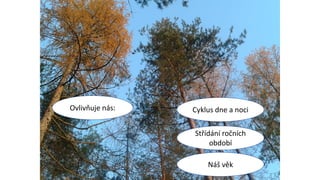 .
Ovlivňuje nás: Cyklus dne a noci
Střídání ročních
období
Náš věk
 