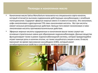 Пелоиды и конопляное масло
• Конопляное масло Sativa Manufacture получается из специального сорта конопли,
который отличается высоким содержанием действующих каннабиноидов с лечебным
потенционалом. Содержит эфирные жирные омега-3 и омега-6 кислоты. Это линолевая,
алфа-линоленовая и драгоценная ГЛА гама-линоленовая кислоты. Все три кислоты
имеют сильные регенерационные действия. Больше того имеют линоленовая и гама-
линоленовая кислоты противовоспалительные действия.
• Эфирные жирные кислоты содержанные в конопляном масле также служат как
основные строительные камни для образования эндоканнабиноидов. Данные вещества
функционируют также в рамке эндоканнабиноидной системы, которая правдоподобно
играет важную роль в наличии атопии, но также чешуйчатого лишая и акне. В масло
проникает во время прессования каннабидиол (CBD), который имеет
антибактериальные свойства и способность лечить воспаления.
 