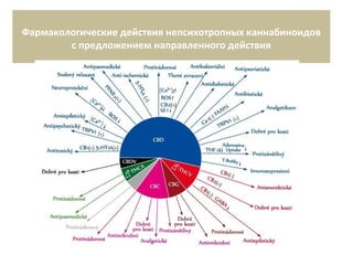 Фармакологические действия непсихотропных каннабиноидов
с предложением направленного действия
 