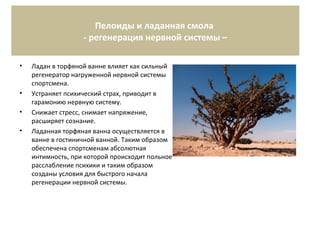 Пелоиды и ладанная смола
- регенерация нервной системы –
• Ладан в торфяной ванне влияет как сильный
регенератор нагруженной нервной системы
спортсмена.
• Устраняет психический страх, приводит в
гарамонию нервную систему.
• Снижает стресс, снимает напряжение,
расширяет сознание.
• Ладанная торфяная ванна осуществляется в
ванне в гостиничной ванной. Таким образом
обеспечена спортсменам абсолютная
интимность, при которой происходит польное
расслабление психики и таким образом
созданы условия для быстрого начала
регенерации нервной системы.
 
