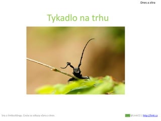 Sny o linkbuildingu. Cesta za odkazy včera a dnes. @LinkiCZ | http://linki.cz
Tykadlo na trhu
Dnes a zítra
 