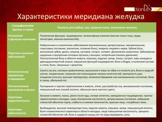 Характеристики меридиана желудка
Специфические
органы и ткани
Полость рта (зубы), нос, верхнее веко, молочные железы.
Отношение
к функции организма
Психическая функция, пищеварение, сегментарные влияния (мягкие ткани лица, груди,
эпигастрия, нижних конечностей).
Перечень основных
заболеваний
Нейрогенные и психические заболевания (маниакальные, депрессивные, эмоциональные,
стрессовые состояния, эпилепсия, головная боль), невриты лицевого нерва. Зубная боль,
воспаление зубов, десен, синусов, суставов, гастрит, энтерит. Дискинезии кишечника. Заболевания
наружных и внутренних половых органов у женщин; гипертензия (низкое давление).
Патологическая боль в области живота; отрыжка, вздутия, запор, понос; гастрит, язвы желудка и
двенадцатиперстной кишки; нарушение функций пищеварения; боли в бедре, в коленном суставе
и стопе; боли, связанные с артритом.
Патологические
проявления
в меридиане
Сухость во рту, носовые кровотечения, высыпания и язвы на губах и в полости рта, боли в грудной
клетке, покраснение, опухание или похолодание нижних конечностей, припухлость щек,
опущение угла рта, высокая температура, возможно бредовое или маниакальное состояние, боли
в глазах, обильный пот.
Патологические
проявления в органе
Распирание и чувство переполнения в животе, отеки, расстройства сна, маниакальное состояние,
повышенный или плохой аппетит, обильная моча желтого цвета.
Симптомы
недостаточности
Урчание в животе, понос, рвота после еды, потеря аппетита, замедленное пищеварение, чувство
переполнения в желудке, чаще пониженная кислотность, депрессивные состояния, набухание
слизистой оболочки горла, слабость в нижних конечностях, красное лицо, «скорбные» веки.
Симптомы
избыточности
Возбуждение, высокая температура тела, вздутие живота, отрыжка, запор, повышенный аппетит,
боли спазматического характера в области желудка, чаще повышенная кислотность, трещины
слизистой оболочки губ, боль и судороги мышц ног по ходу меридиана, сыпь.
 