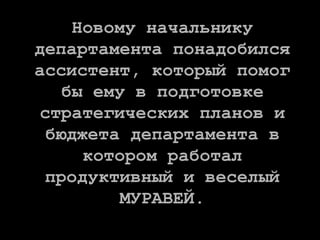 Новому начальнику
департамента понадобился
ассистент, который помог
бы ему в подготовке
стратегических планов и
бюджета департамента в
котором работал
продуктивный и веселый
МУРАВЕЙ.
 