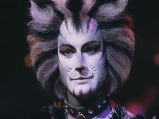 Визитная карточка мюзикла –
высокохудожественный кошачий грим.

 