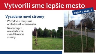 Vytvorili sme lepšie mesto 
Vysadené nové stromy 
• Pôvodné stromy sme 
omladzovali orezávaním. 
• Na viacerých 
miestach sme 
vysadili mladé 
stromy. 
Zeleň v meste 
 