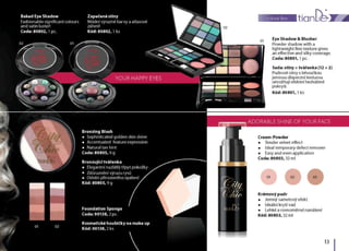 Katalog TianDe 2012