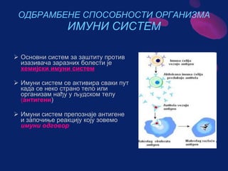 Sistem za cirkulaciju - krv i limfa