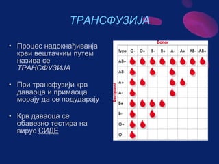 Sistem za cirkulaciju - krv i limfa