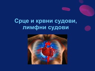 Sistem za cirkulaciju - krv i limfa