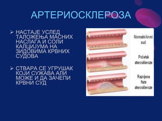 Sistem za cirkulaciju - krv i limfa