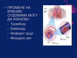 Sistem za cirkulaciju - krv i limfa