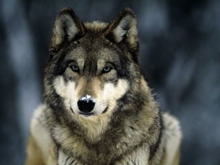 C nsu u a u
                              a ilp s l s
                                      b
SslpusAs bk T n rk
  i vr si uk si
  v lpua
    iu l
      ok v l
Eou i v la
v lca ok
    j
N ,an.
 esje

Cn u
 ai
                 od
       C nsu u aa s
        a ilp s rb
                    vl
                    ok
      Vs v lo
       rt ok v
          e
         K n dniislck
          a aCakpuoon
              sl v l
  dpui s V l c v l
Cn l
 ai u
     cufok k n
       u
          o
Rsesrv l ki i ok
         A t
          r    su ya
             smiasan lg pi ilgj
             e n rk a a rboo i
                     o        i
                      C nsu u aco
                       a ilp s rts
 