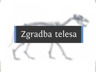 C nsu u a u
                              a ilp s l s
                                      b
SslpusAs bk T n rk
  i vr si uk si
  v lpua
    iu l
      ok v l
Eou i v la
v lca ok
    j
N ,an.
 esje

Cn u
 ai
                 od
       C nsu u aa s
        a ilp s rb
                    vl
                    ok
         Zrt atl v
         Vgsb ok a
           rd veo
           ae l s
                e
         K n dniislck
          a aCakpuoon
              sl v l
  dpui s V l c v l
Cn l
 ai u
     cufok k n
       u
          o
Rsesrv l ki i ok
         A t
          r    su ya
             smiasan lg pi ilgj
             e n rk a a rboo i
                     o        i
                      C nsu u aco
                       a ilp s rts
 