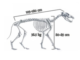 C nsu u a u
                              a ilp s l s
                                      b
SslpusA1k0ck T n rk
  i vrbm i uk si
  v lpus51 s v l
    i u l6
      o–
v lca ok
    j
N ,an.
 esje

Cn u
 ai
        aslpusaao d
Eou i v la
        0
        Cn u
         ai    rbs
                   vl
                   ok
         Zrt atl v
         Vgsb ok a
           rd veo
           ae l s
                e
                3.k
                8 g
                 5                8 –5 m
                                   08 c

         K n dniislck
          a aCakpuoon
              sl v l
  dpui s V l c v l
Cn l
 ai u
     cufok k n
       u
          o
Rsesrv l ki i ok
         A t
          r    su ya
             smiasan lg pi ilgj
             e n rk a a rboo i
                     o        i
                      C nsu u aco
                       a ilp s rts
 