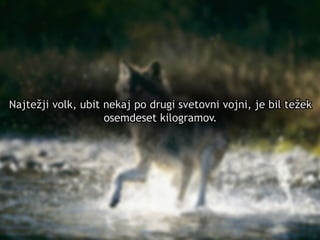 C nsu u a u
                              a ilp s l s
                                      b
SslpusA1k0ck T n rk
  i vrbm i uk si
  v lpus51 s v l
    i u l6
      o–
v lca ok
    j
N ,an.
 esje

Cn u
 ai
        aslpusaao d
Eou i v la
        0
        Cn u
         ai    rbs
                   vl
                   ok
N j ži ok u in kj odu iv tv i on, eblee
 at jvl bt e a p rg seon vjij itžk
   e     ,
         Zrt atl v
         Vgsb ok a
           rd veo
           ae l s
                e
             oe ee k o rmo.
              smd st i ga v
                     l
                3.k
                8 g
                 5                8 –5 m
                                   08 c

         K n dniislck
          a aCakpuoon
              sl v l
  dpui s V l c v l
Cn l
 ai u
     cufok k n
       u
          o
Rsesrv l ki i ok
         A t
          r    su ya
             smiasan lg pi ilgj
             e n rk a a rboo i
                     o        i
                      C nsu u aco
                       a ilp s rts
 