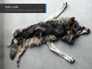 C nsu u a u
                                   a ilp s l s
                                           b
SslpusA1k0ck T n rk
  i vrbm i uk si
  v lpus51 s v l
    i u l6
      o–
 O r vl
  dt ok
N ,an.
 esje

Cn u
 ai
        aslpusaao d
Eouejasela n p di muejž ai
vvocark nkkr e o pr čna i l
 Atr i v ko
  lsmi oia
      n

        0
        Cn u
         ai    rbs
                  a     v.




                   vl
                   ok
N j ži ok u in kj odu iv tv i on, eblee
 at jvl bt e a p rg seon vjij itžk
   e     ,
           Zrt atl v
           Vgsb ok a
             rd veo
             ae l s
                  e
             oe ee k o rmo.
              smd st i ga v
                     l
                     3.k
                     8 g
                      5                8 –5 m
                                        08 c

         K n dniislck
          a aCakpuoon
              sl v l
  dpui s V l c v l
Cn l
 ai u
     cufok k n
       u
          o
Rsesrv l ki i ok
         A t
          r    su ya
                  smiasan lg pi ilgj
                  e n rk a a rboo i
                          o        i
                              C nsu u aco
                               a ilp s rts
 