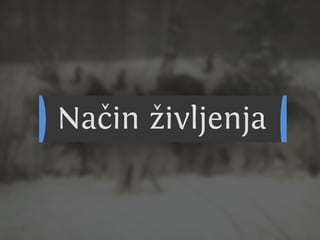 C nsu u a u
                                   a ilp s l s
                                           b
SslpusA1k0ck T n rk
  i vrbm i uk si
  v lpus51 s v l
    i u l6
       o–
 O r vl
  dt ok
N ,an.
 esje

Cn u
 ai
        aslpusaao d
Eouejasela n p di muejž ai
vvocark nkkr e o pr čna i l
 Atr i v ko
  lsmi oia
      n

        0
         Cn u
          ai   rbs
                  a     v.




                      vl
                      ok
N j ži ok u in kj odu iv tv i on, eblee
 at jvl bt e a p rg seon vjij itžk
   e     ,
     Ngs.zok–5c
      Zct atev
      ai5kg v l j
        rd vlea
      V 3
       r8aeieoa
          n l8s m
            b j   n
             oe ee k o rmo.
              smd st i ga v
                   08
                     l



         K n dniislck
           a aCakpuoon
                sl v l
  dpui s V l c v l
Cn l
 ai u
     cufok k n
       u
            o
Rsesrv l ki i ok
           A t
            r      su  ya
                  smiasan lg pi ilgj
                  e n rk a a rboo i
                          o        i
                              C nsu u aco
                               a ilp s rts
 
