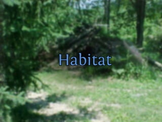 C nsu u a u
                                        a ilp s l s
                                                b
SslpusA1k0ck T n rk
  i vrbm i uk si
  v lpus51 s v l
    i u l6
       o–
 O r vl
  dt ok


Cn u
 ai
         aslpusaao d
Eouejasela n p di muejž ai
vvocark nkkr e o pr čna i l
 Atr i v ko
  lsmi oia
N ,an.
 esje
      n

         0
          Cn u
           ai   rb
                  a



                  s
                        v.                      tz a č
                                                    di
                                              Mai ml i
                                Gan smc z oiivžj u a h ail uo.
                                 l a a i n v sen p hs cn u sv
                                  v     a   m   i       sp




                       vl
                       ok
N j ži ok u in kj odu iv tv i on, eblee
 at jvl bt e a p rg seon vjij itžk
   e     ,
    Sartkgzeaja
     Ngs.azv0–j
    RVZinztev
       aaevleam
        c3 bijs
        rnbet b
        a8 atl 8a
           d go
      ozH5ookdc
       c iaia8ne
          l vr 5
        mn lnoe ee k o rmo.
              smd st i ga v
                     l



          K n dniislck
            a aCakpuoon
                 sl v l
  dpui s V l c v l
Cn l
 ai u
     cufok k n
        u
             o
Rsesrv l ki i ok
            A t
             r      su  ya
                  smiasan lg pi ilgj
                  e n rk a a rboo i
                          o        i         OR z sa ne
                                              smovj j
                                              a i oa
                                               as v
                                                  k
                              C noolamppikndrdtnGrvooo.nr.
                               a igjjaekeeaelo pdopldar!
                                  sudčsimcj.a e Ge
                                    l u rir s t
                                 FV čfh ir il a jo. rp g v j
                                  t r ij s o p va .
                                   o il         g
 