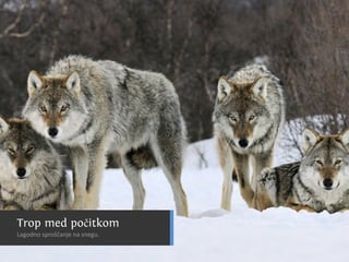 C nsu u a u
                                        a ilp s l s
                                                b
SslpusA1k0ck T n rk
  i vrbm i uk si
  v lpus51 s v l
    i u l6
       o–
 O r vl
  dt ok


Cn u
 ai
         aslpusaao d
Eouejasela n p di muejž ai
vvocark nkkr e o pr čna i l
 Atr i v ko
  lsmi oia
N ,an.
 esje
      n

         0
          Cn u
           ai   rb
                  a



                  s
                        v.                      tz a č
                                                    di
                                              Mai ml i
                                Gan smc z oiivžj u a h ail uo.
                                 l a a i n v sen p hs cn u sv
                                  v     a   m   i       sp




                       vl
                       ok
N j ži ok u in kj odu iv tv i on, eblee
 at jvl bt e a p rg seon vjij itžk
   e     ,
    Sartkgzeaja
     Ngs.azv0–j
    RVZinztev
       aaevleam
        c3 bijs
        rnbet b
        a8 atl 8a
           d go
      ozH5ookdc
       c iaia8ne
          l vr 5
        mn lnoe ee k o rmo.
              smd st i ga v
                     l



          K n dniislck
            a aCakpuoon
                 sl v l
  dpui s V l c v l
     cufok k n
             o
Rsesrv l ki i ok
            A t
             r      su  ya
 To me p č k me n rk n lg pi ilgj
  rp d oi o smiasa ao a rboo i
Cn l
 ai u   u t                     i            OR z sa ne
                                              smovj j
                                              a i oa
                                               as v
                                                  k
 Lgd o počn n seu
 ao n sršaj a ng.
           e
                              C noolamppikndrdtnGrvooo.nr.
                               a igjjaekeeaelo pdopldar!
                                  sudčsimcj.a e Ge
                                    l u rir s t
                                 FV čfh ir il a jo. rp g v j
                                  t r ij s o p va .
                                   o il         g
 