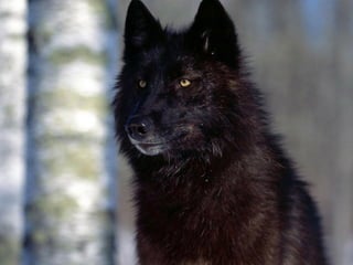 C nsu u a u
                                             a ilp s l s
                                                     b
SslpusA1k0ck T n rk
  i vrbm i uk si
  v lpus51 s v l
    i u l6
       o–
 O r vl
  dt ok


Cn u
 ai
         aslpusaao d
Eouejasela n p di muejž ai
vvocark nkkr e o pr čna i l
 Atr i v ko
  lsmi oia
N ,an.
 esje
      n

         0
          Cn u
           ai   rb
                  a



                  s
                        v.                           tz a č
                                                         di
                                                   Mai ml i
                                     Gan smc z oiivžj u a h ail uo.
                                      l a a i n v sen p hs cn u sv
                                       v     a   m   i       sp




                       vl
                       ok
N j ži ok u in kj odu iv tv i on, eblee
 at jvl bt e a p rg seon vjij itžk
   e     ,
    Sartkgzeaja
     Ngs.azv0–j
    RVZinztev
       aaevleam
        c3 bijs
        rnbet b
        a8 atl 8a
           d go
      ozH5ookdc
       c iaia8ne
          l vr 5
        mn lnoe ee k o rmo.
              smd st i ga v
                     l



          K n dniislck
            a aCakpuoon
                 sl v l
  dpui s V l c v l
     cufok k n
             o
Rsesrv l ki i ok
            A t
             r
 ok v o d lčeit
                    su  ya
VTolv kp obon n rk n lg pi ilgj
To pmeoinkoe asa ao a rboo i
 rp i i diimo
  l o b o tz smi
  r
Cn l
 ai u   me v a
        u  j h                i                   OR z sa ne
                                                   smovj j
                                                   a i oa
                                                    as v
                                                       k
B oaornpoese,em u roat žoe re ji.
 i Loiioršajiligj vč men sojuri
                                 C noolamppikndrdtnGrvooo.nr.
 zngd ljo čn vpsek oe orb i ts g z
 V le cjo pzdksn ,. s p o nl bt a
  o s t o zar an ča r
    kv na n a a e e
       ds    t       p     t io .
                                  a igjjaekeeaelo pdopldar!
                                     sudčsimcj.a e Ge
                                       l u rir s t
                                    FV čfh ir il a jo. rp g v j
                                     t r ij s o p va .
                                      o il         g
 