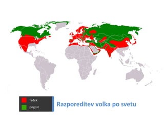 C nsu u a u
                                             a ilp s l s
                                                     b
SslpusA1k0ck T n rk
  i vrbm i uk si
  v lpus51 s v l
    i u l6
       o–
 O r vl
  dt ok


Cn u
 ai
         aslpusaao d
Eouejasela n p di muejž ai
vvocark nkkr e o pr čna i l
 Atr i v ko
  lsmi oia
N ,an.
 esje
      n

         0
          Cn u
           ai   rb
                  a



                  s
                        v.                           tz a č
                                                         di
                                                   Mai ml i
                                     Gan smc z oiivžj u a h ail uo.
                                      l a a i n v sen p hs cn u sv
                                       v     a   m   i       sp




                       vl
                       ok
N j ži ok u in kj odu iv tv i on, eblee
 at jvl bt e a p rg seon vjij itžk
   e     ,
    Sartkgzeaja
     Ngs.akajam
      Zinnzvaa
       cmu ate–j
        olztl b
        rd vle
        a8bij08
          aeig o
      ozH5ookdc
       Kcnbeiv
       aiail8ne
    RV 3mn       rs
                at
               vcn5
             oe ee k o rmo.
              smd st i ga v
                     l



          K n dniislck
            a aCakpuoon
                 sl v l
RsesrvaVdie vcoseuok
     cufoklola vv
             ok
  dpui s l kipi l
         R zoe t
            A tv kn t
             r
           rd k
           ee
            pr
        me č v a
                    su  ya
VTolv kginkoe n rk n lg pi ilgj
To pmeolobon asa ao a rboo i
 ok v o dpt iimo
 rp i i od tz t
  l o b oj eismi
  r
Cn l
 ai u   u o
        p s
              h               i                   OR z sa ne
                                                   smovj j
                                                   a i oa
                                                    as v
                                                       k
B oaornpoese,em u roat žoe re ji.
 i Loiioršajiligj vč men sojuri
                                 C noolamppikndrdtnGrvooo.nr.
 zngd ljo čn vpsek oe orb i ts g z
 V le cjo pzdksn ,. s p o nl bt a
  o s t o zar an ča r
    kv na n a a e e
       ds    t       p     t io .
                                  a igjjaekeeaelo pdopldar!
                                     sudčsimcj.a e Ge
                                       l u rir s t
                                    FV čfh ir il a jo. rp g v j
                                     t r ij s o p va .
                                      o il         g
 